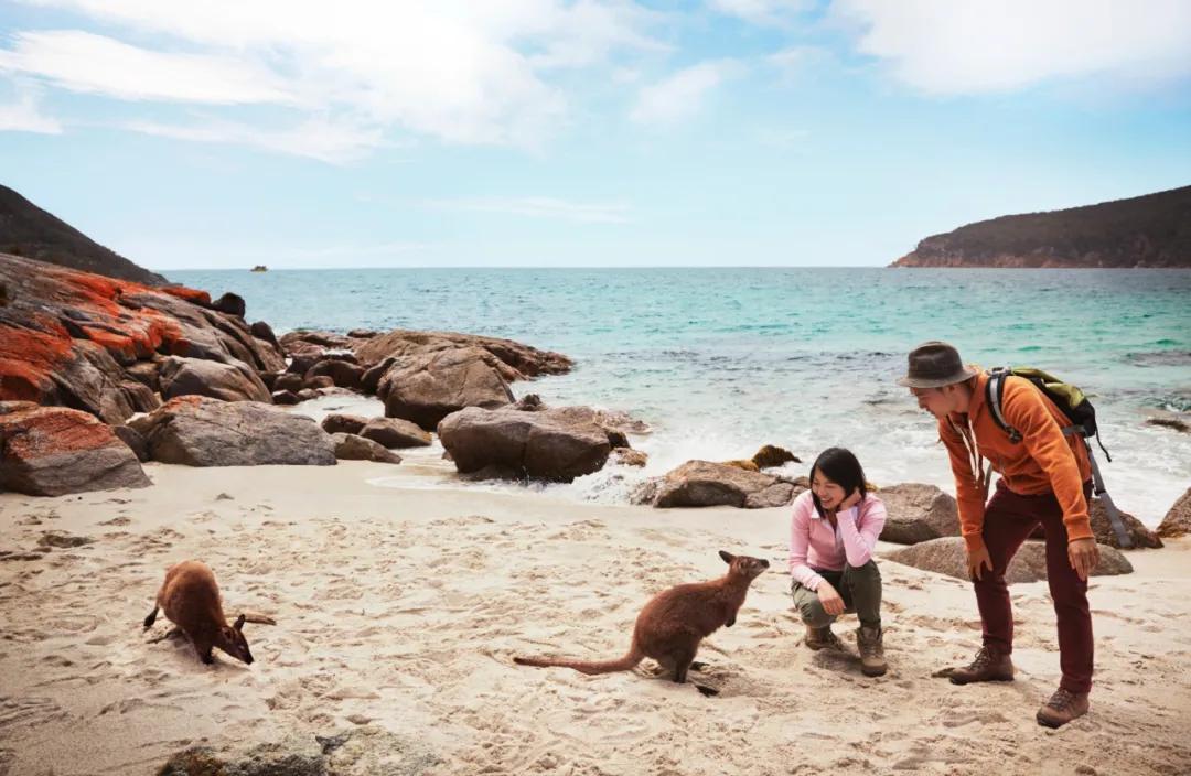 疫情期间澳洲打工度假签证,因为疫情签证到期怎么办
