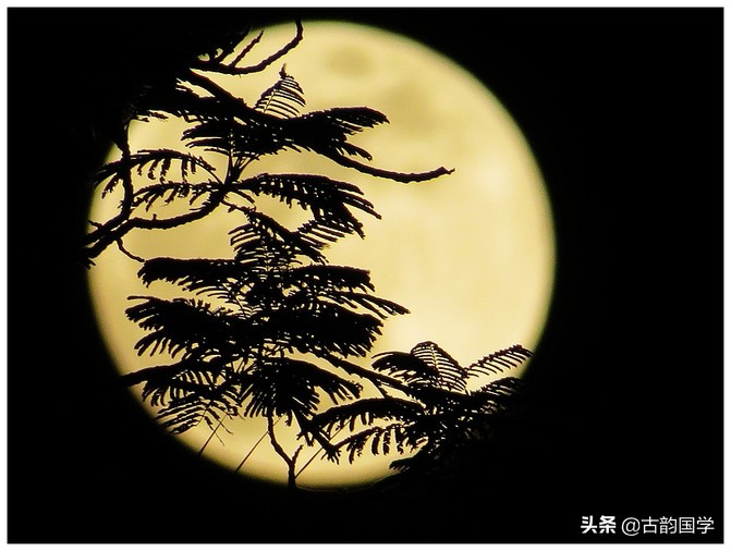 经典宋诗63首,首首出名句,句句永流传