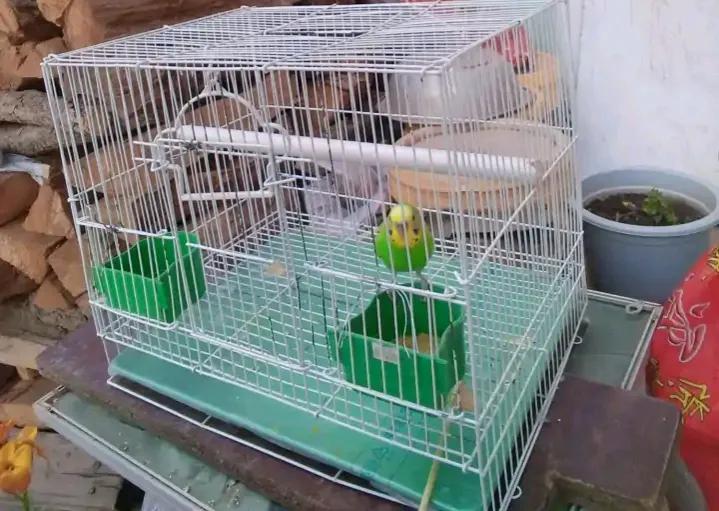 你能想象到吗,藏族支教的真实生活