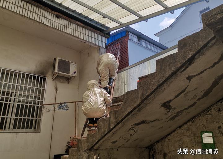 信阳今天有什么新闻大事,信阳今日热点事件