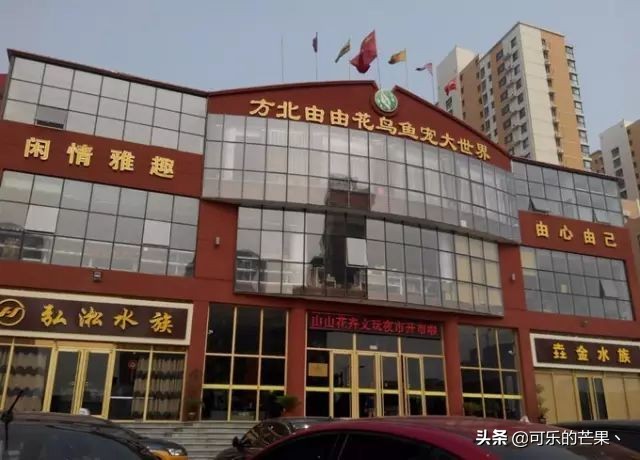 石家庄批发市场可以批发什么呢,石家庄周边县有哪些年货市场