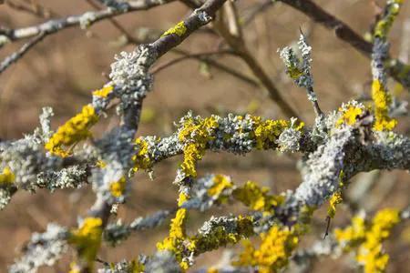 一月温暖的阳光,一月的阳光暖融融下一句