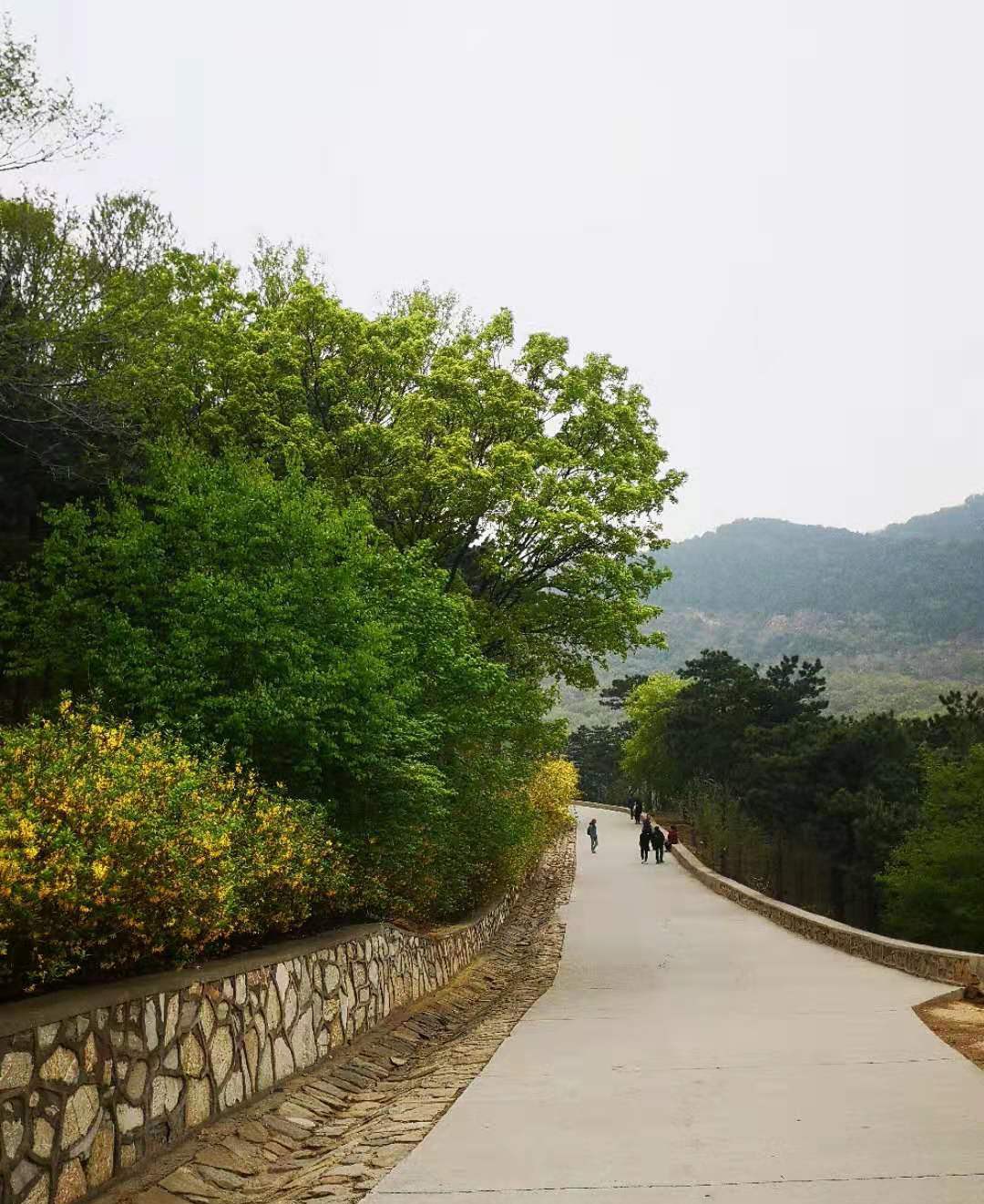 北京西山国家森林公园,北京西山国家森林公园预约