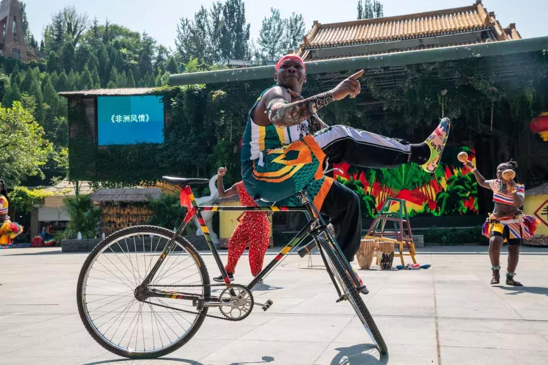 免费！半价！坐山东高铁环形列车，这些景区凭车票统统享优惠！