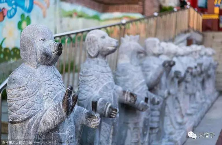 十二地支万物类象详解的书,十二地支万物类象精解大全