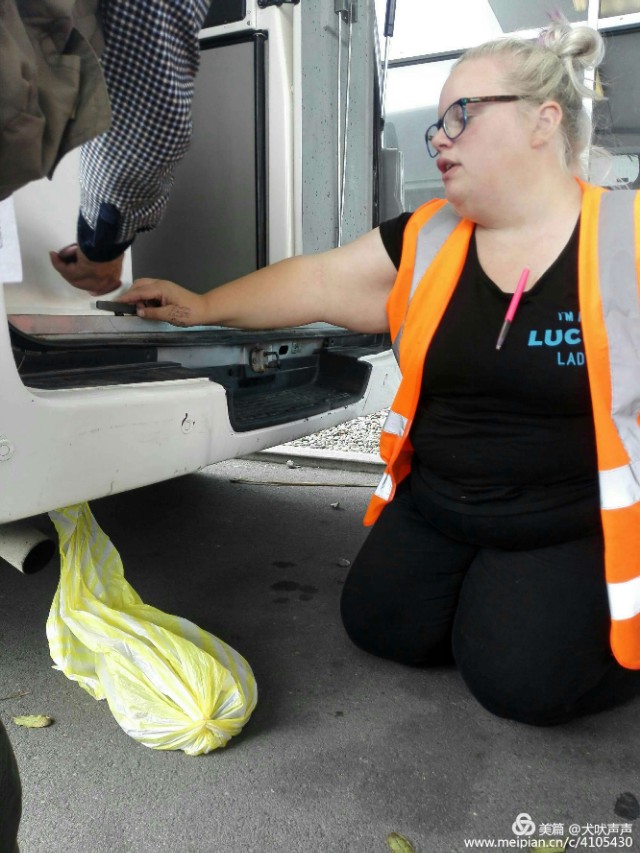 花甲后的新西兰自驾之旅(一)