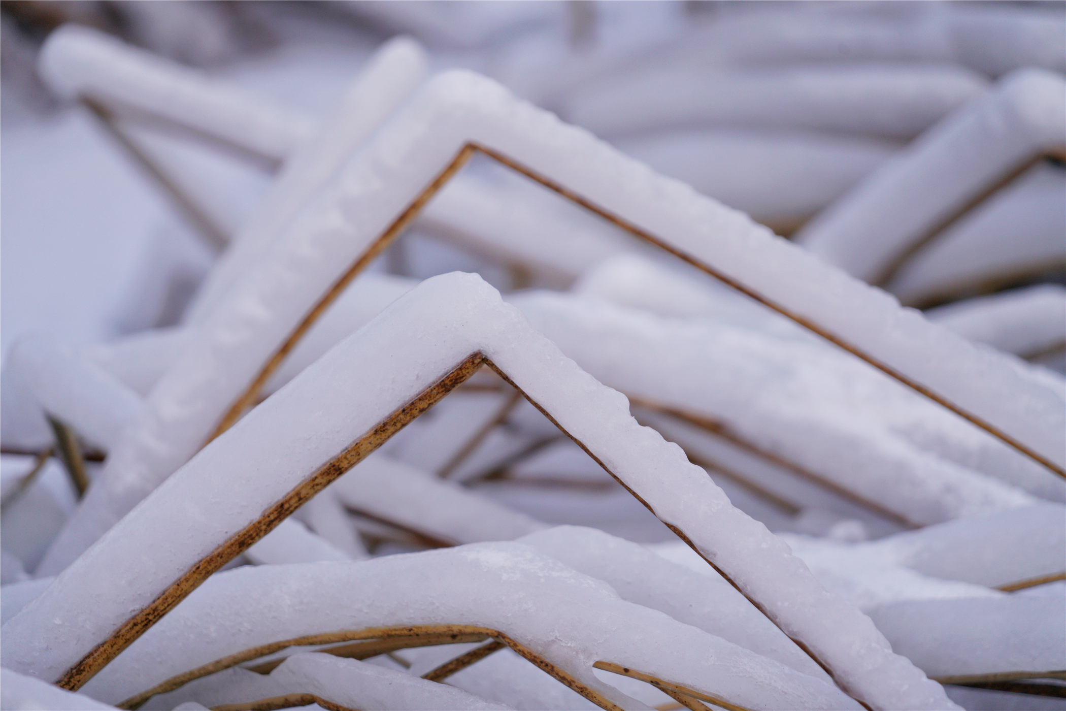 张家口冰雪旅游,张家口怀来塞外明珠