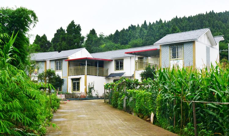 涔愯嚦鑽疯姳鎽勫奖浣滃搧娆ｈ祻,涔愯嚦鍗拌薄鎽勫奖