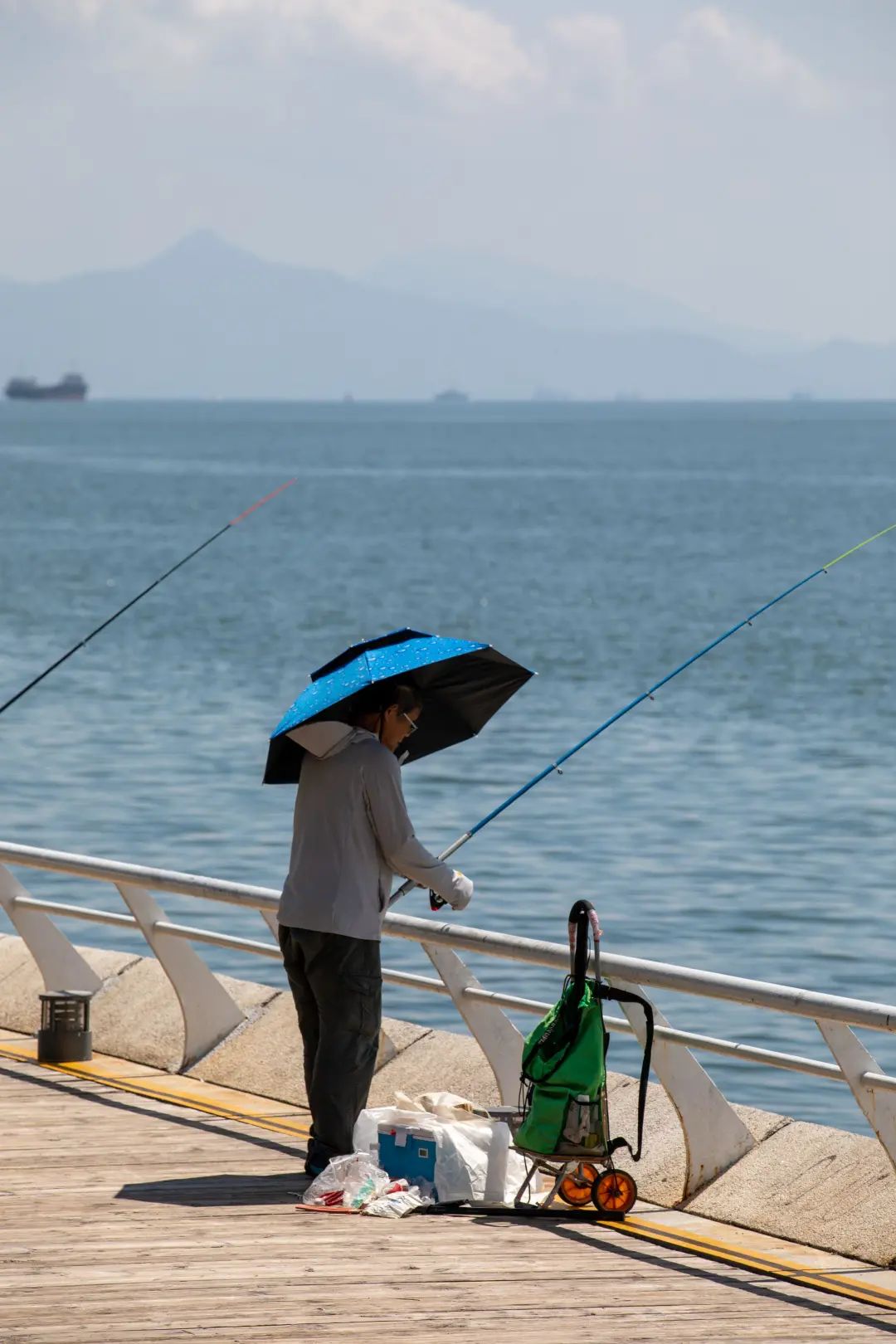 深圳盐田最大的地区,深圳盐田没有潜力吗