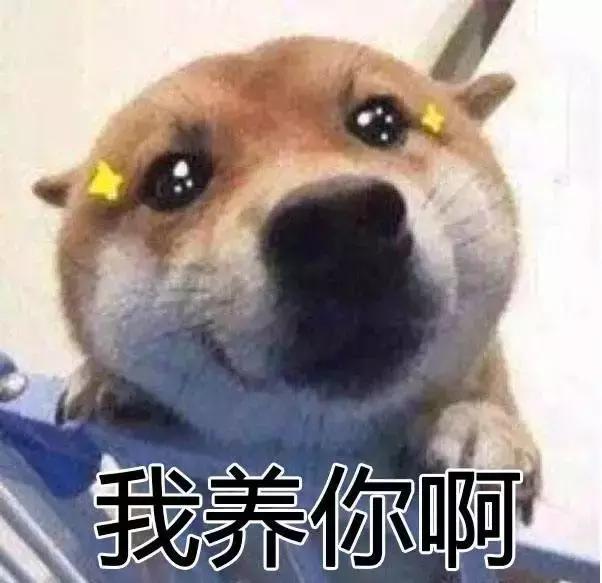 混吃等死、一夜暴富…现实给不了希望只能靠表情包续命