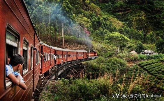 金星买翡翠手镯被坑,花15000买假金手镯