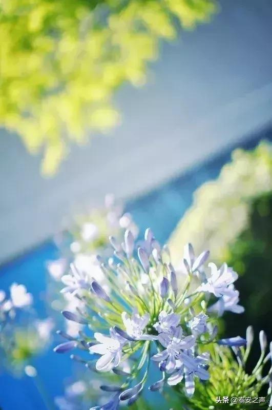 今日春分不负春光万物可期,今日春分莫负春光