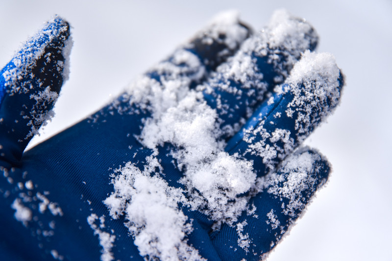 冰雪总动员简介,冰雪总动员
