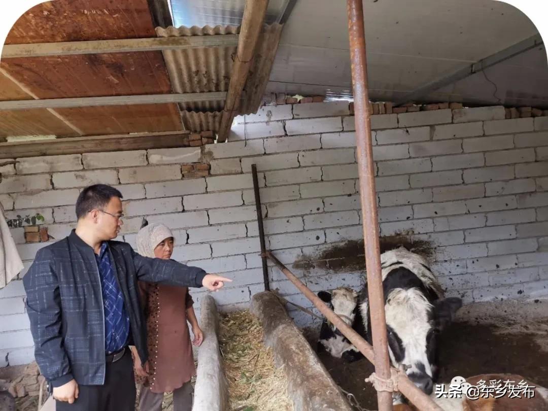 扶贫路上的他们,脱贫攻坚中的他们