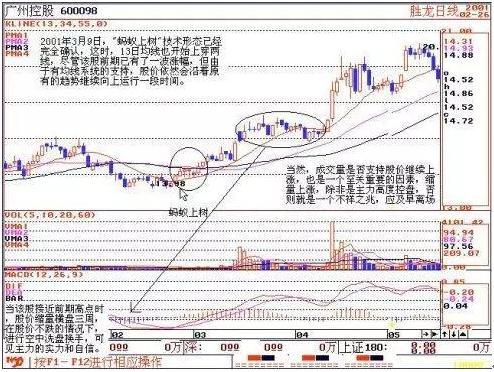 底部买入即将涨的股票,如何看底部引爆选股法