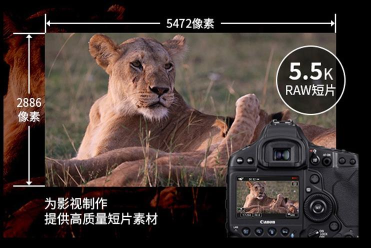 小米14拍出来的照片默认1200万,4800万像素手机为什么默认1200万