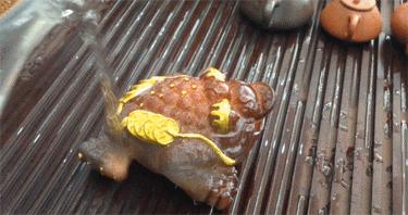 茶宠摆放讲究十二生肖,茶宠摆放有什么讲究和禁忌