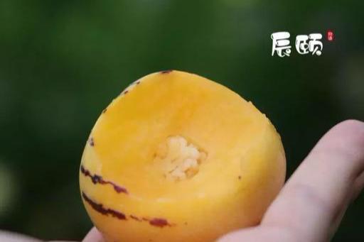 人参果云南功效,人参果的功效检测