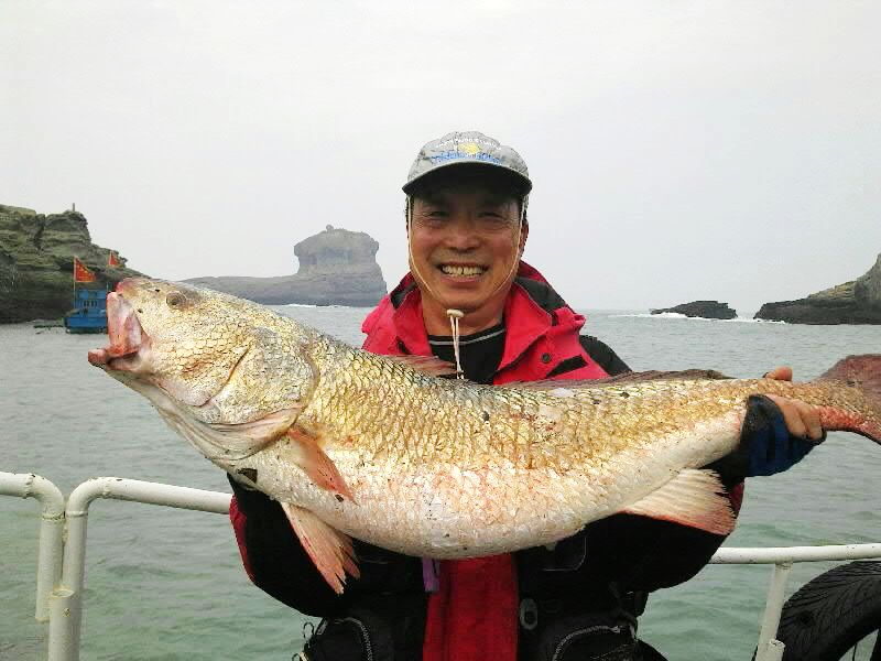 在中国被吃到灭绝的物种,被美国吃绝种的野生动物