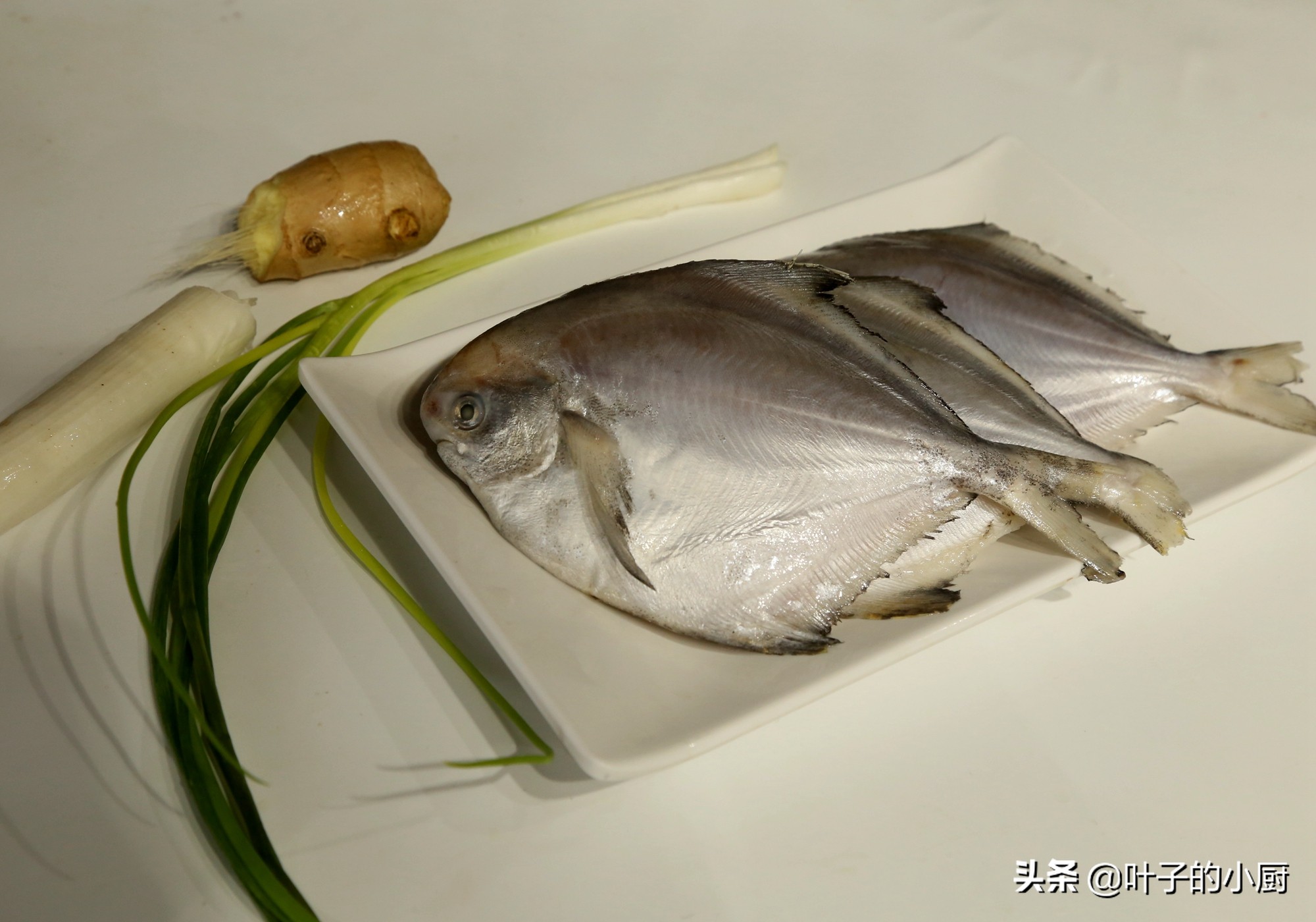 24种烧河鱼的做法,烧鱼用什么鱼最好鱼刺最少