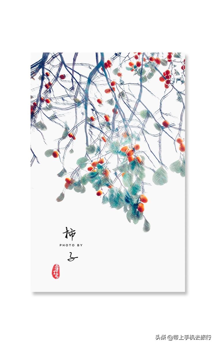 “减法”、虚化和“加法”，让画面瞬间干净简洁唯美