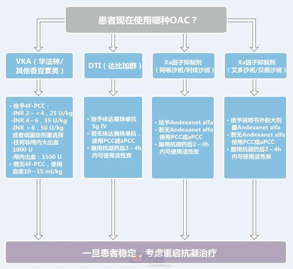 专家共识-抗凝药物出血管理
