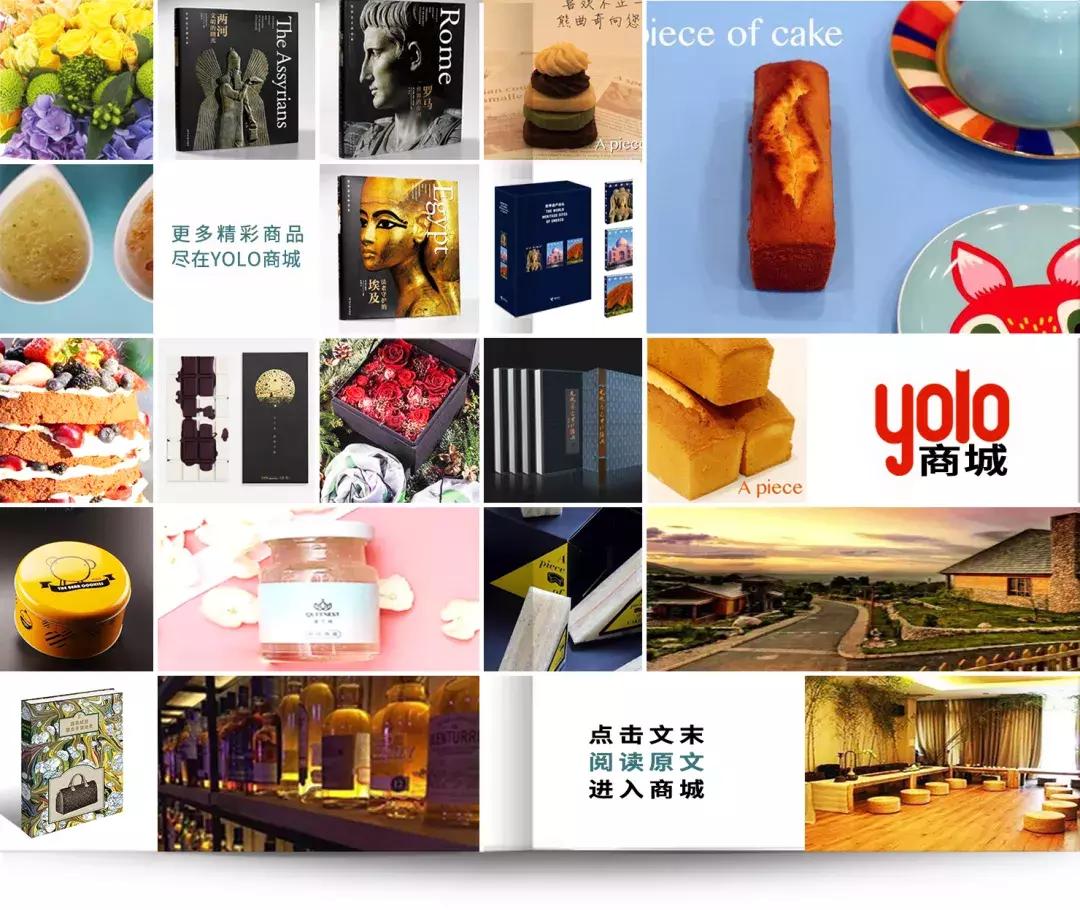 最强的迪拜王室,迪拜王室光鲜亮丽的背后