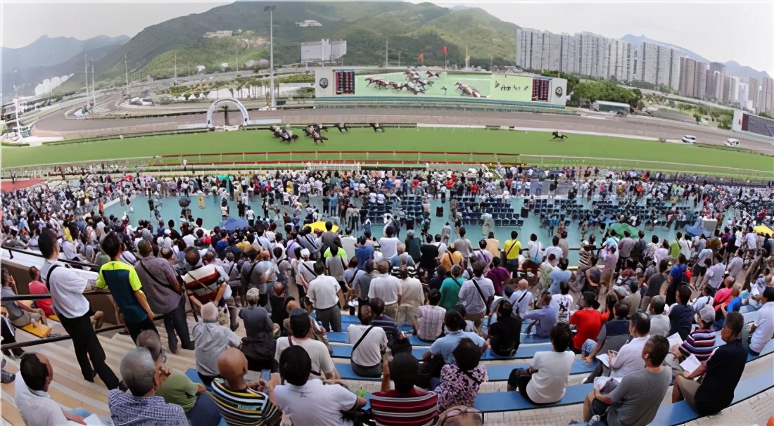 香港富豪为什么爱养马,香港富人为什么这么多
