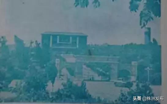 春日大自然美景视频,春日公园游玩美图视频