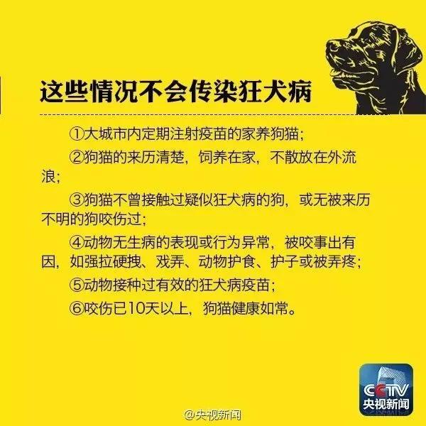 被猫抓出血了要不要打狂犬,被家猫抓伤出血要打狂犬疫苗吗
