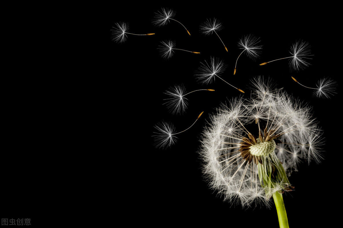 买手机的难处,一件小事带来烦恼