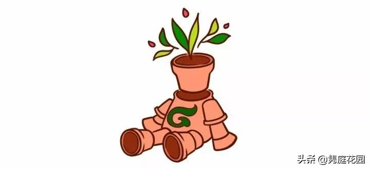 丰富又有趣的花园,花园是最能带给你身心愉悦的地方