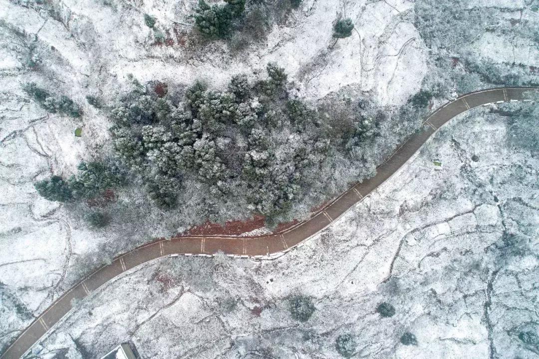 全球最大的城市森林公园,全球最绿色的城市