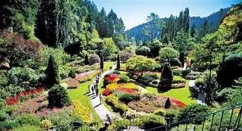 加拿大旅游视频大全集,加拿大旅游攻略最详细