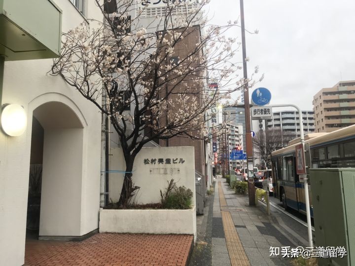 日本横滨亚细亚语言学校,日本横滨早稻田语言学校