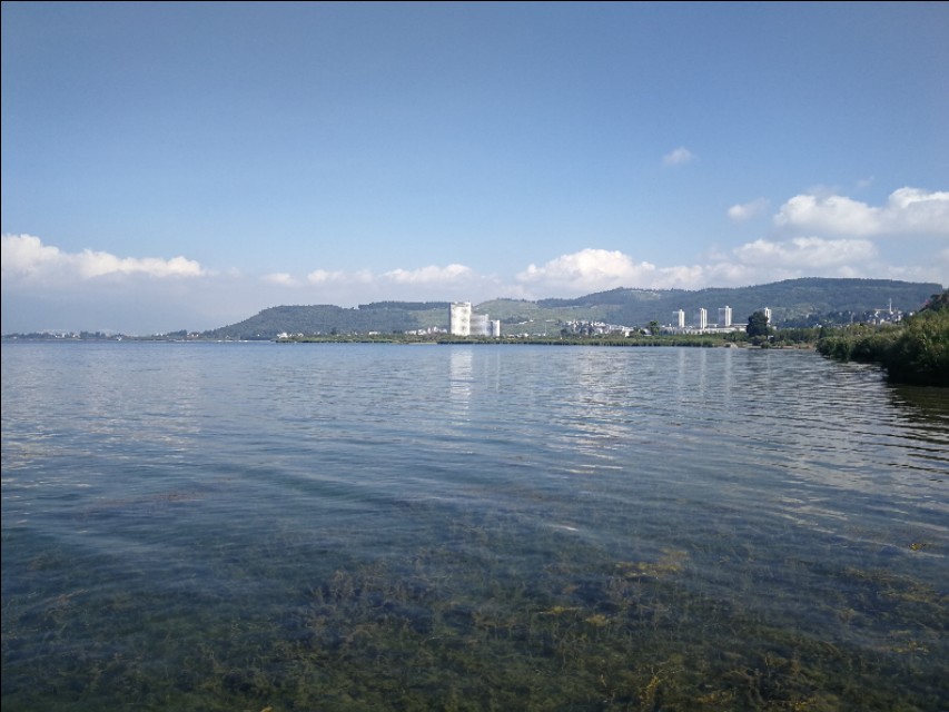 普洱茶的陈香是什么,普洱茶的陈香是什么香