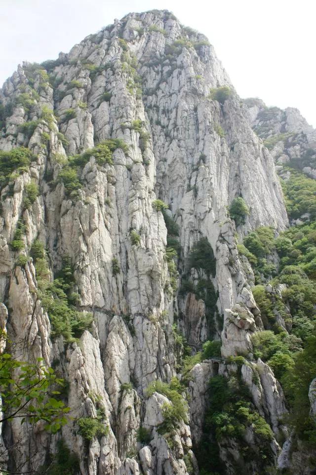 嵩山少林寺塔沟武校,嵩山少林寺文武学校