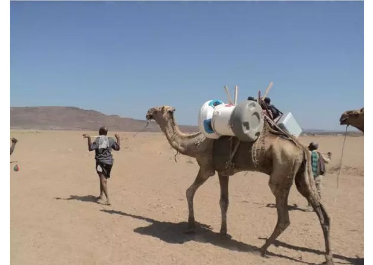 请朋友代购,朋友推荐代购洗发水