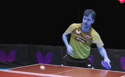 乒乓球波尔的最好成绩,乒坛老波尔