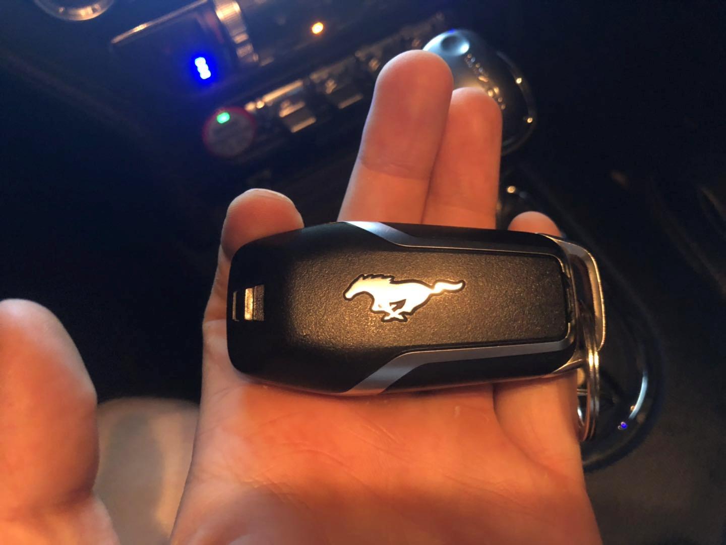 野马还是野驴,野马2.3t小野驴