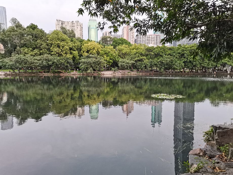 荔枝公园深圳,深圳第一公园荔枝公园