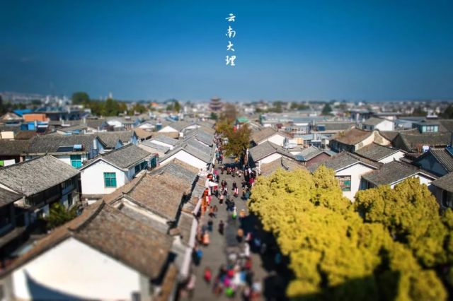 什么是云南品种,什么是云南的特色