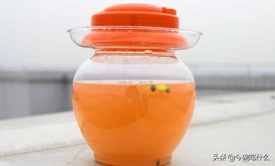 风味独特的四川泡菜制作及养护法，见证一坛传家泡菜的诞生