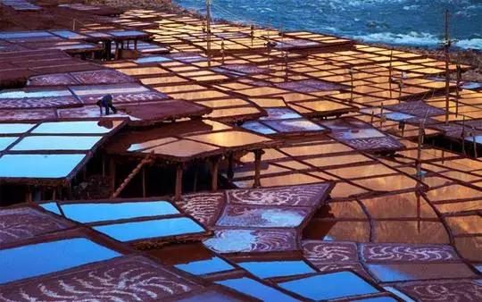 人要是二十天不吃盐会怎样,一天之内不吃盐会怎么样