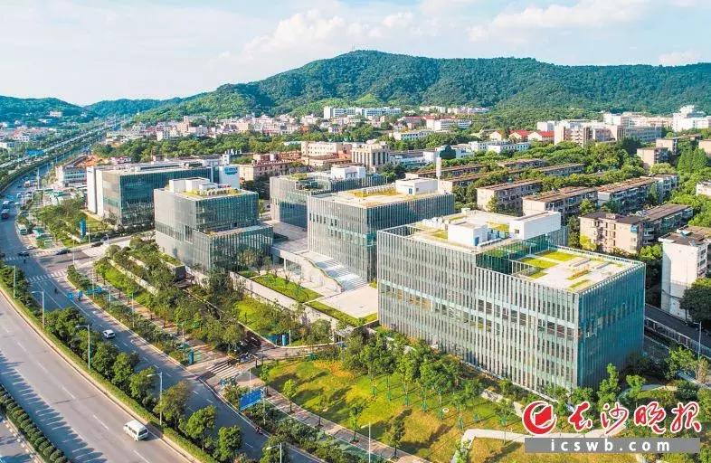 瞪羚企业总数,瞪羚企业数量排行城市