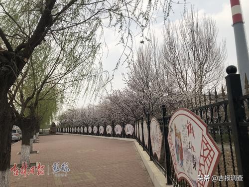 啥“好做法”让长春银融社区如此“不一般”?小伙伴看完都惊呆啦