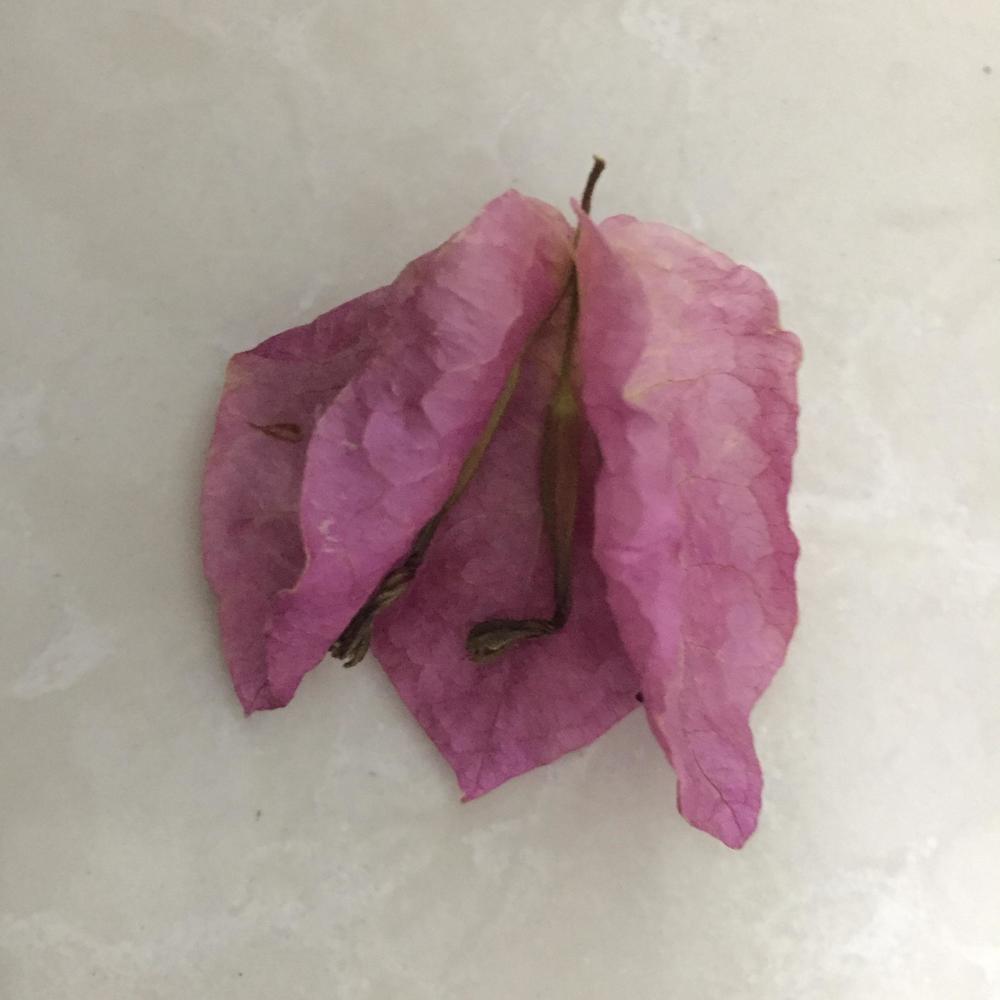 突破人生格局的心理法则 (如何解决迷茫的最佳法宝)