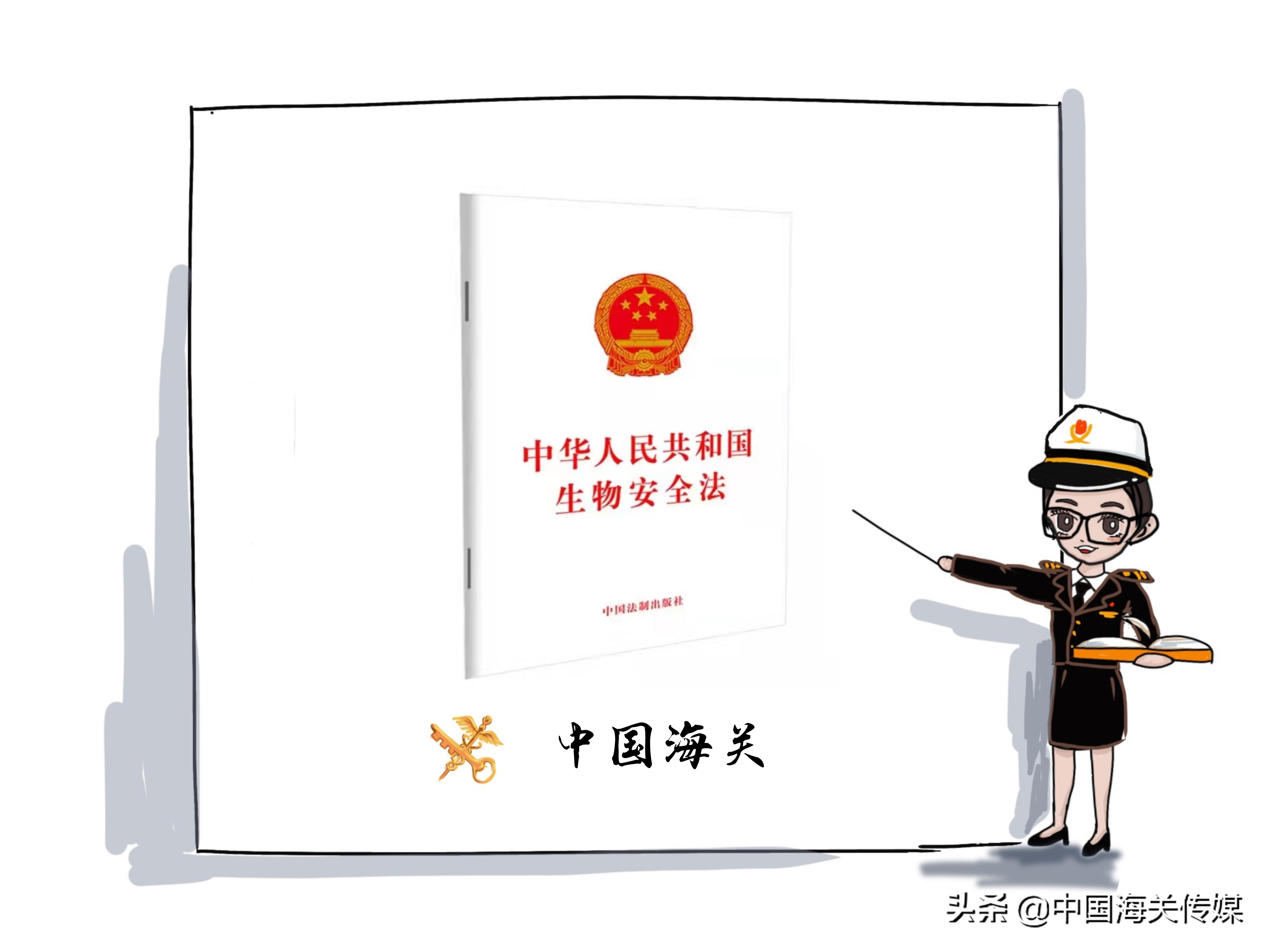 婕瘽鍎跨瀹夊叏,鍥介棬鐢熺墿瀹夊叏鍔ㄦ极瑙嗛