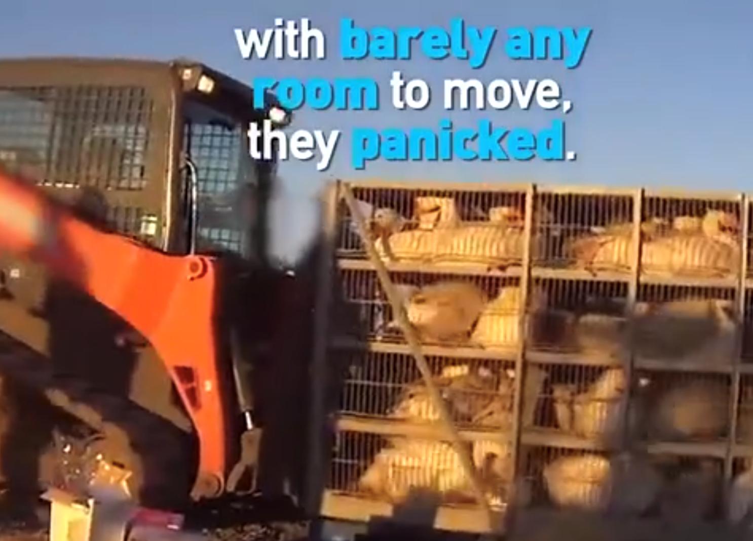 国外的衣服国内卖到一千八,在国外卖工作服