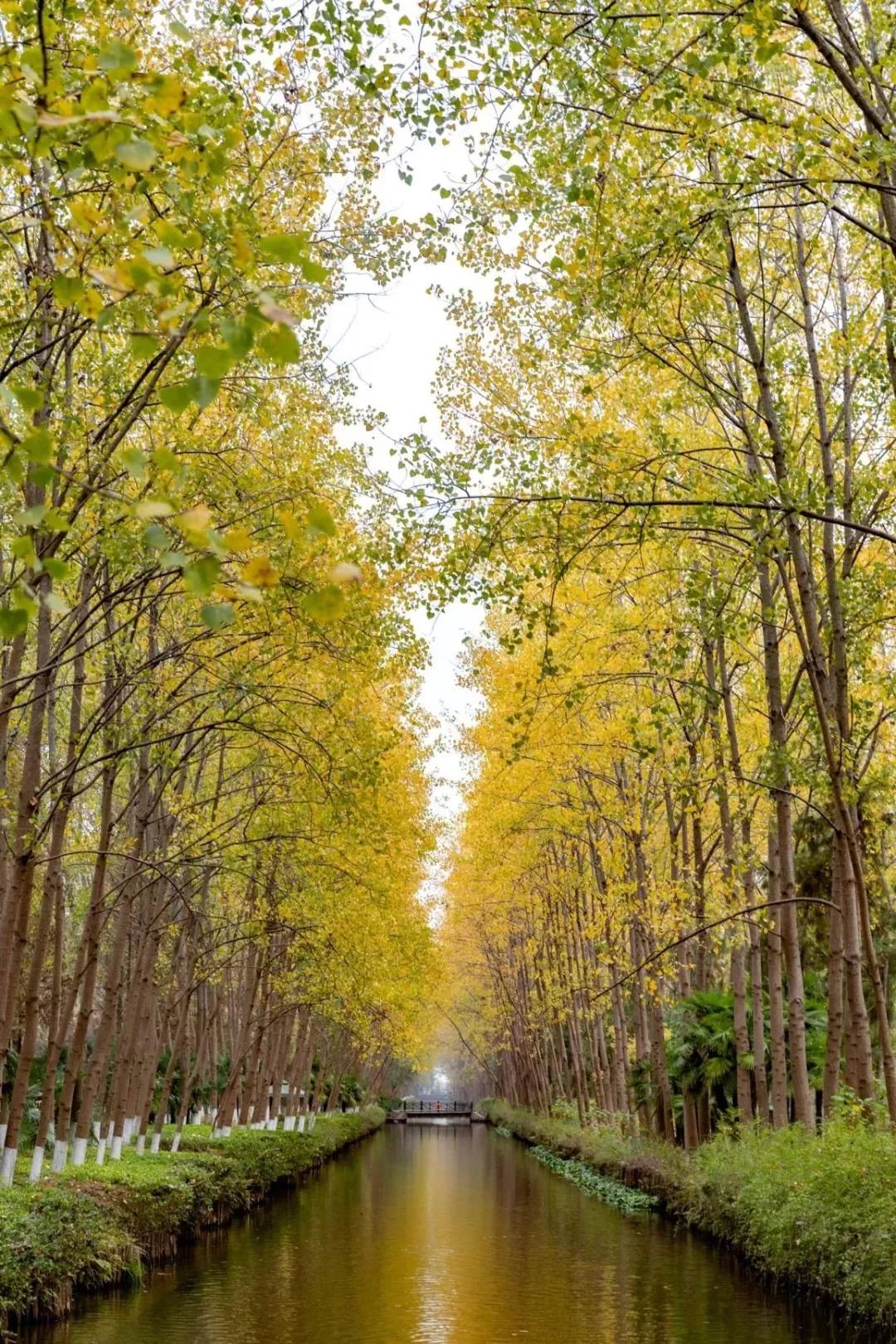 合肥大蜀山游玩攻略,合肥蜀山区最值得去的地方